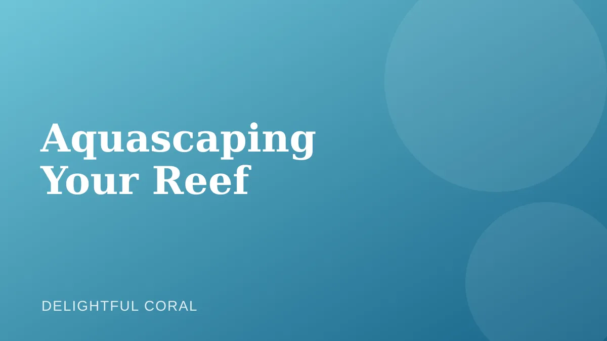 Illustration representing reef aquascaping