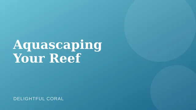Illustration representing reef aquascaping