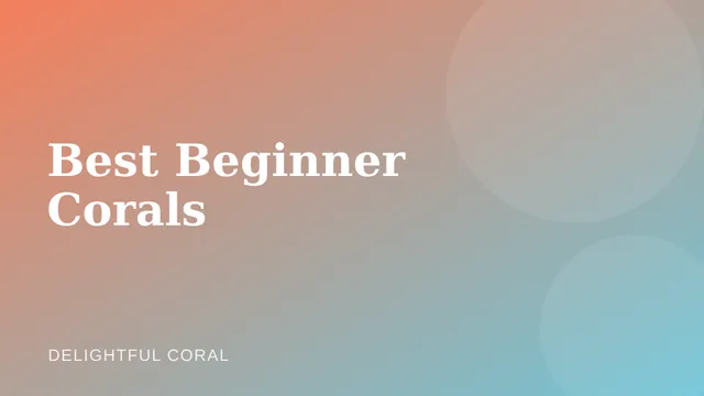 Illustration representing beginner-friendly corals