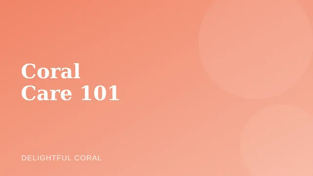 Illustration representing coral care fundamentals