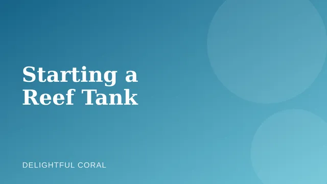 Illustration representing a new reef tank setup