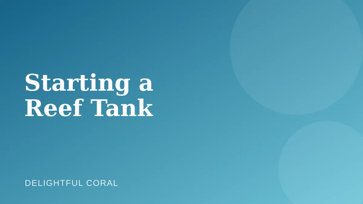 Illustration representing a new reef tank setup